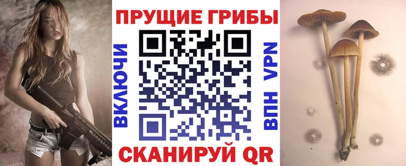 Галлюциногенные грибы прущие грибы  цены наркотик  Усть-Джегута 