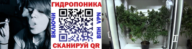 Бошки марихуана семена Усть-Джегута
